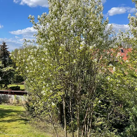 Kociewie Pomorze Gdanskie *