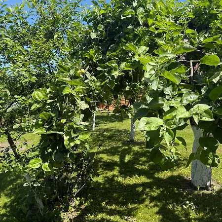 Kociewie Pomorze Gdanskie 公寓 *