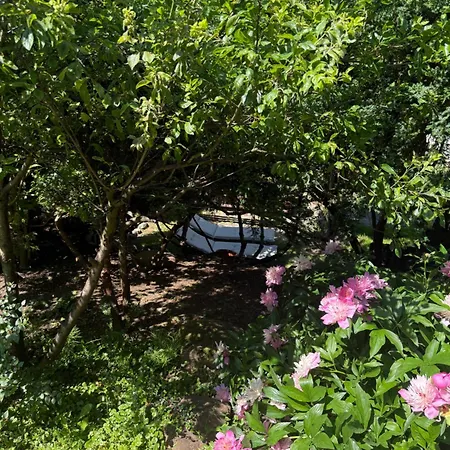 Kociewie Pomorze Gdanskie * Skorcz