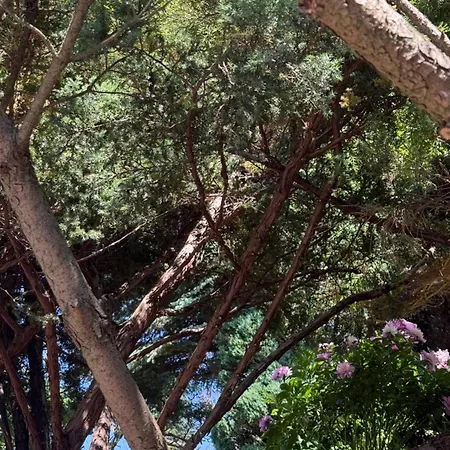 Kociewie Pomorze Gdanskie * Skorcz