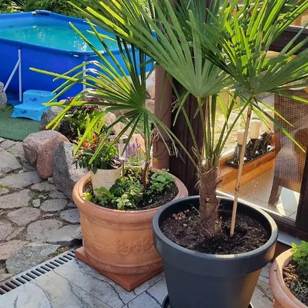 Apartamento Skórcz Kociewie Pomorze Gdańskie