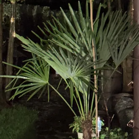 Kociewie Pomorze Gdanskie 公寓 *