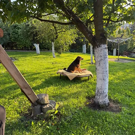 アパート Kociewie Pomorze Gdanskie