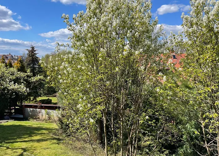 Kociewie Pomorze Gdanskie *