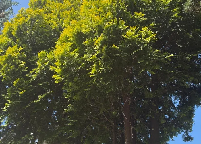 شقة Kociewie Pomorze Gdanskie