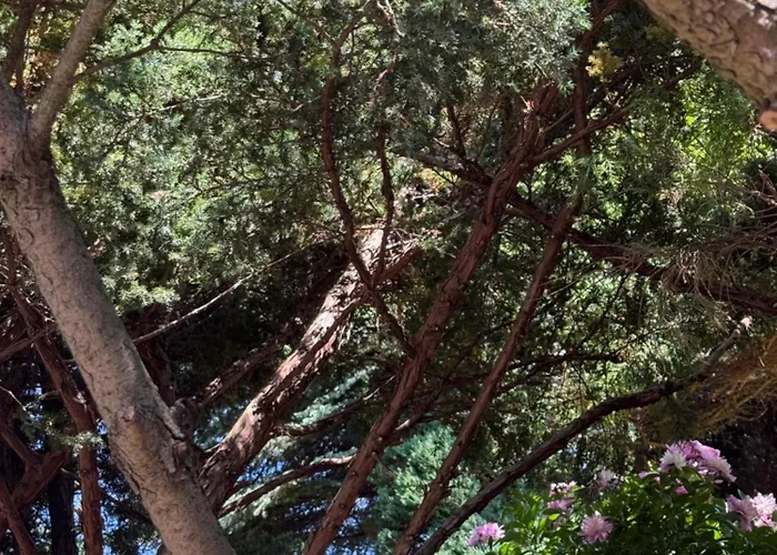 Kociewie Pomorze Gdanskie * Skorcz