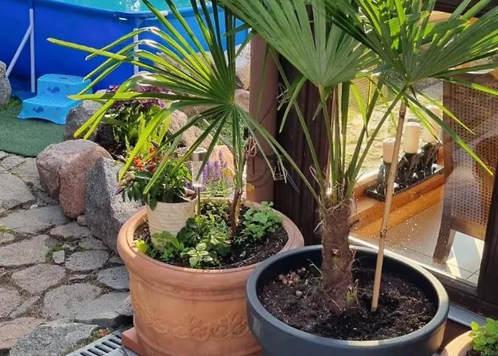 شقة Kociewie Pomorze Gdanskie