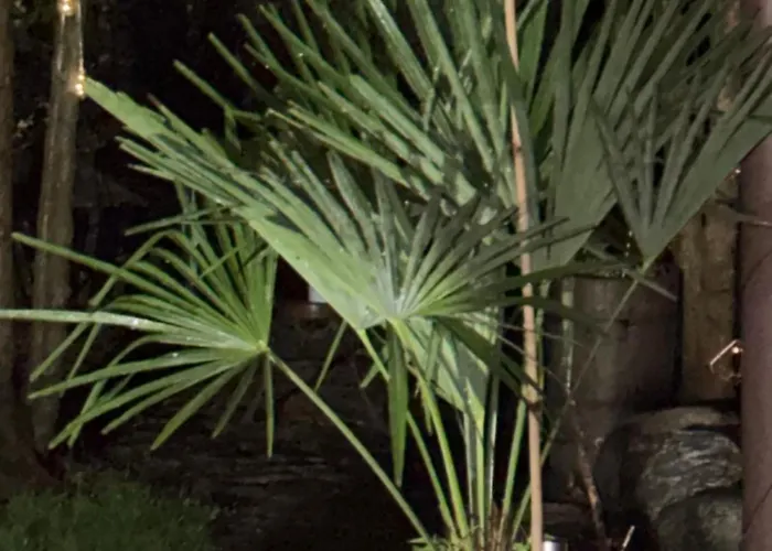 Kociewie Pomorze Gdanskie شقة *