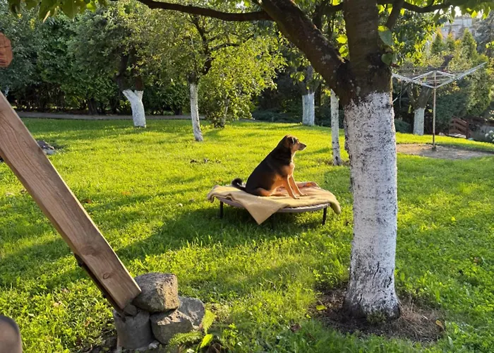 شقة Kociewie Pomorze Gdanskie